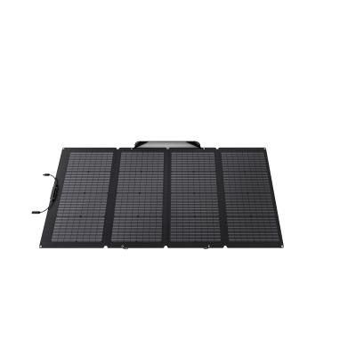 EcoFlow 50062001 Solarmodul 220 W Monokristallines Silizium