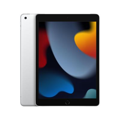 Apple iPad , 10.2" LED, 2160 x 1620, A13 Bionic, 256GB, 802.11ac Wi-Fi 5, LTE, Bluetooth 4.2, Touch ID, 8MP + 12MP, iPadOS