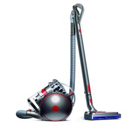 Dyson Cinetic Big ball Absolute 2 0,8 L Aspiradora cilíndrica Secar 700 W Sin bolsa