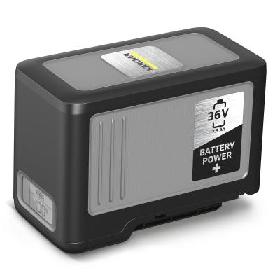 Kärcher 2.445-043.0 accessorio e ricambio per aspirapolvere Universale Batteria