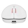 GENESIS Zircon XIII mouse Giocare Ambidestro RF Wireless + USB Type-C Ottico 26000 DPI