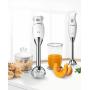 Bosch MSM6B500 blender Mélangeur par immersion 350 W Argent, Blanc