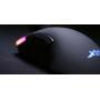 CHERRY XTRFY M1 RGB Maus Gaming rechts USB Typ-A Optisch 7200 DPI