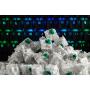 Glorious PC Gaming Race GAT-GREEN interruptor de teclado Verde 120 pieza(s)