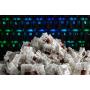 Glorious PC Gaming Race GAT-BROWN interruptor de teclado Marrón 120 pieza(s)