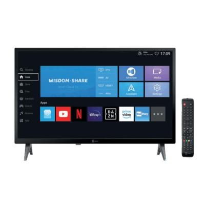 TELE System SMART24 LS2 A11 59.9 cm (23.6") HD Smart TV Wi-Fi Black 180 cd m²