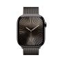 Apple Watch Series 10 GPS + Cellular 46mm Slate Titanium Case with Slate Milanese Loop - S M