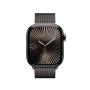 Apple 42mm Slate Milanese Loop