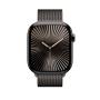 Apple 46mm Slate Milanese Loop - S M