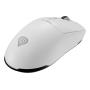 GENESIS Zircon 660 mouse Gaming Right-hand RF Wireless + Bluetooth + USB Type-A Optical 12000 DPI