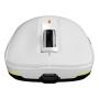 GENESIS Zircon 660 mouse Gaming Right-hand RF Wireless + Bluetooth + USB Type-A Optical 12000 DPI