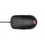 Endgame Gear XM1 RGB souris Jouer Droitier USB Type-A Optique 16000 DPI