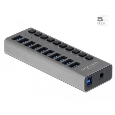 DeLOCK External 5 Gbps USB Hub with 10 Ports + Switch