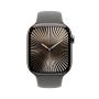 Apple Watch Series 10 GPS + Cellular 46mm Natural Titanium Case with Stone Grey Sport Band - M L