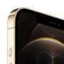 Apple iPhone 12 Pro Max 17 cm (6.7") Dual-SIM iOS 14 5G 256 GB Gold