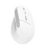 Trust Bayo II souris Bureau Droitier RF sans fil Optique 2400 DPI