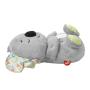 Fisher-Price GRT59 juguete de peluche