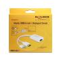 DeLOCK 62496 câble vidéo et adaptateur 0,245 m DisplayPort HDMI + USB Blanc