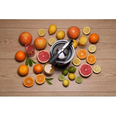 ▷ Gorenje CJ100HE electric citrus press 100 W Stainless steel